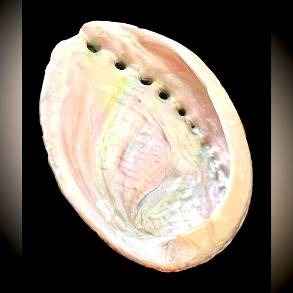 Abalone Natural Shells approx. 4” x 3” - Picture 3 of 5